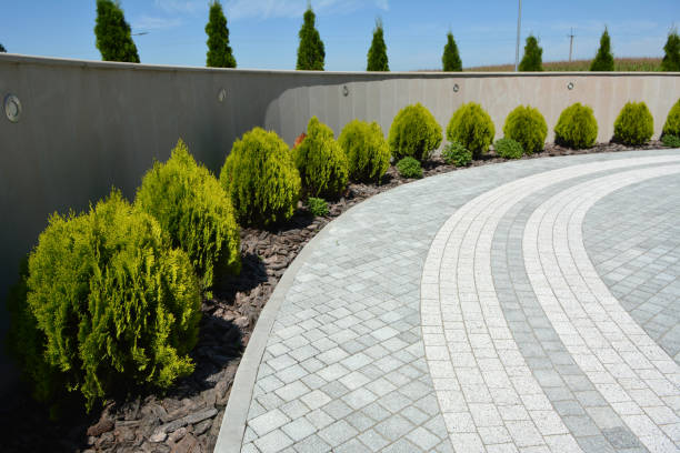 Best Driveway Pavers Near Me  in Seguin, TX